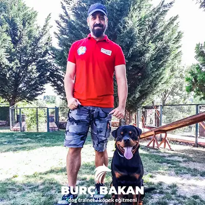 Köpek eğitimi fotoğrafı