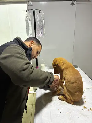 Berkay Veteriner Kliniği
