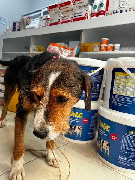 Berkay Veteriner Kliniği foto 2