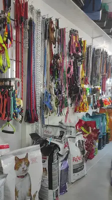 Mutlu Veteriner Kliniği