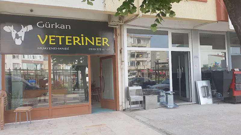 SELVİ VETERİNER KLİNİĞİ foto 2