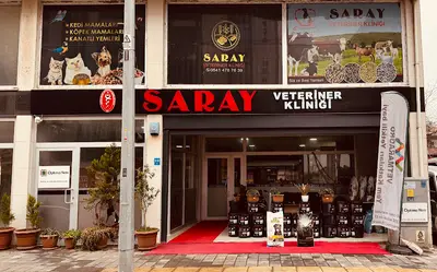 Saray Köpek Eğitimi Buğra Özer fotoğrafı
