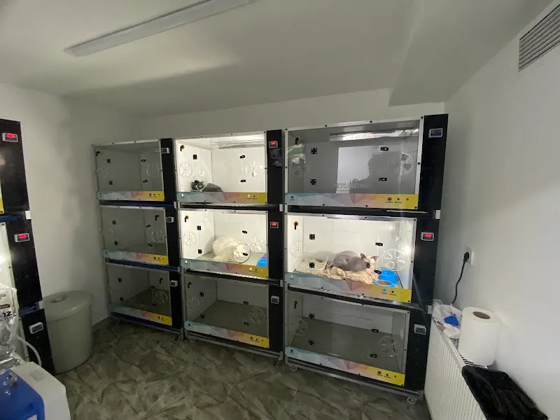 Vetsa-Petcageunit Veteriner Yoğun Bakım Üniteleri foto 2
