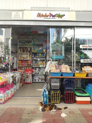 İkizler pet shop Osman fotoğrafı