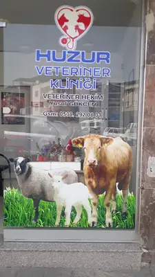 madran veteriner muayenehanesi