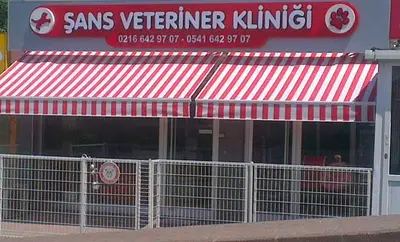 Şans Veteriner Kliniği Çekmeköy