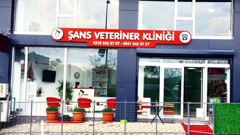 Şans Veteriner Kliniği Çekmeköy foto 2