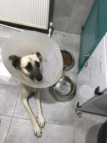 Tuna Veteriner Kliniği foto 2