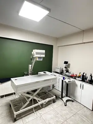 Vega Veteriner Kliniği- 7/24 ACİL VETERİNER HİZMETİ fotoğrafı
