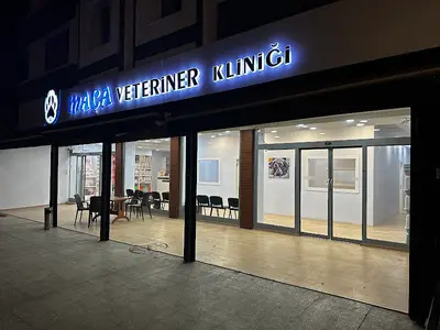 MAÇA VETERİNER KLİNİĞİ MAMAK