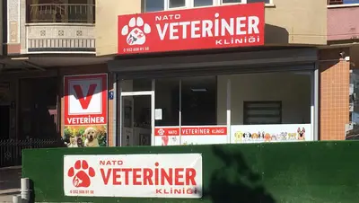 Nato Veteriner Kliniği fotoğrafı