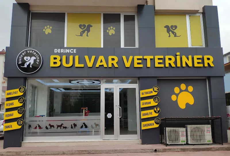 Derince Bulvar Veteriner Kliniği foto 1