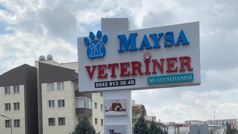 Etimesgut Maysa Veteriner Tıp Merkezi 7/24 foto 1