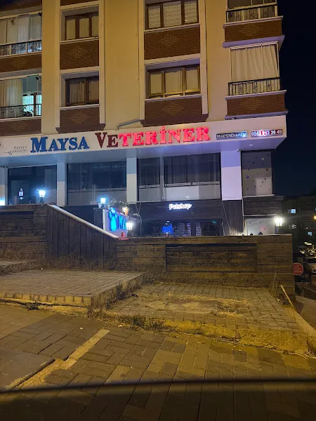 Etimesgut Maysa Veteriner Tıp Merkezi 7/24 foto 2