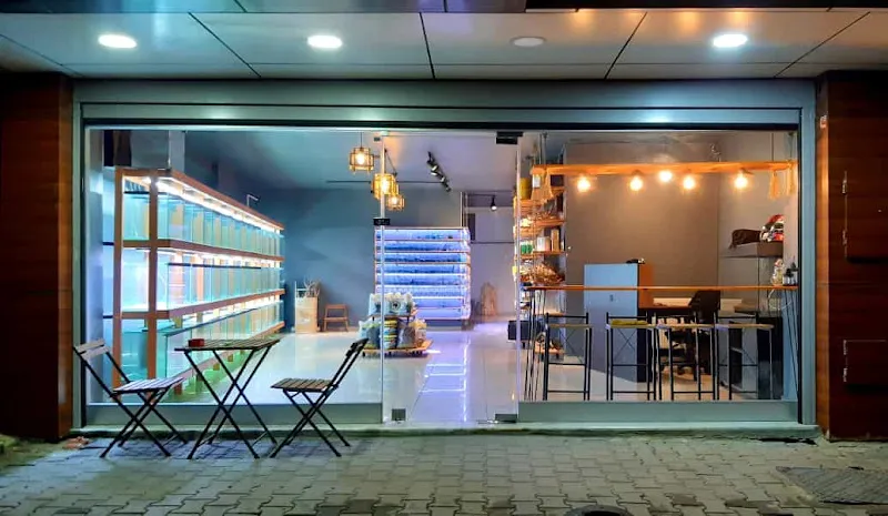 Juss Akvaryum Ve Petshop foto 1