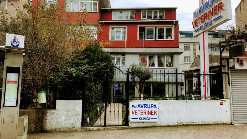 GAZİOSMANPAŞA PATİ AVRUPA VETERİNER POLİKLİNİĞİ ,GAZİOSMANPAŞA VETERİNER, ACİL VETERİNER KEDİ KÖPEK foto 1
