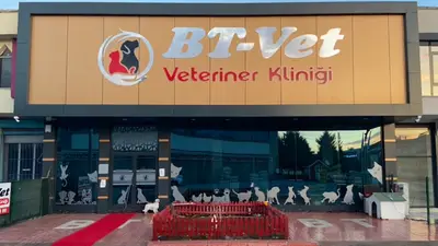 BT Veteriner Kliniği