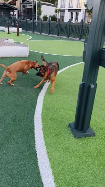 Ümraniye Belediyesi Köpek Eğitim Merkezi-ÜMKEM foto 2