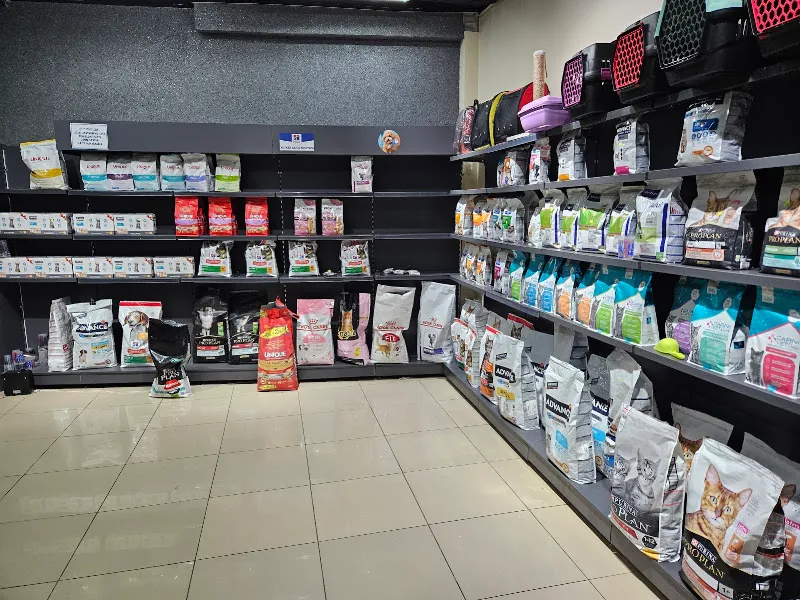Keçiören Tepebaşı Veteriner Kliniği foto 1
