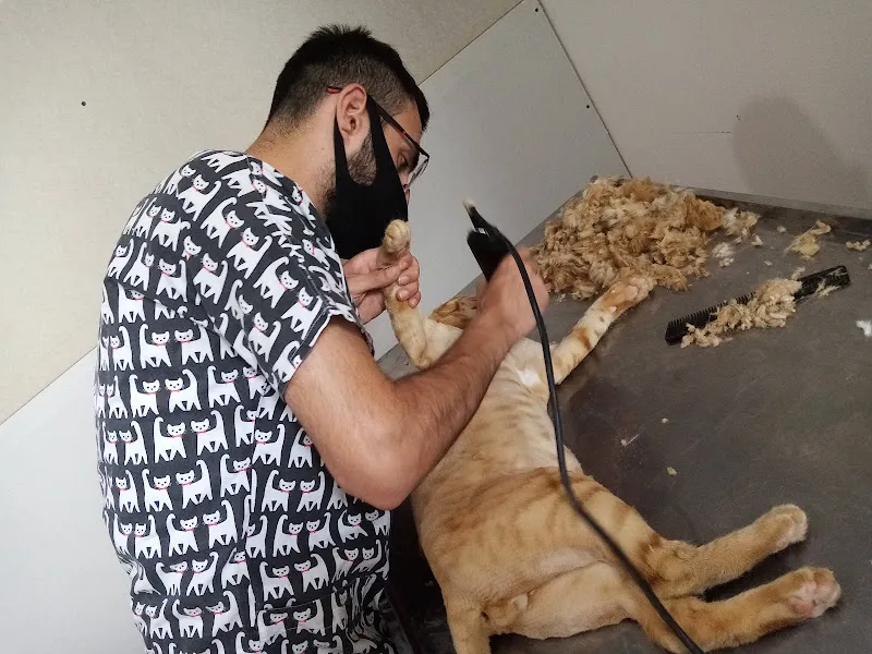 AKYURT YAKIN VETERİNER KLİNİĞİ -ANKARA AKYURT VETERİNER KLİNİĞİ foto 2