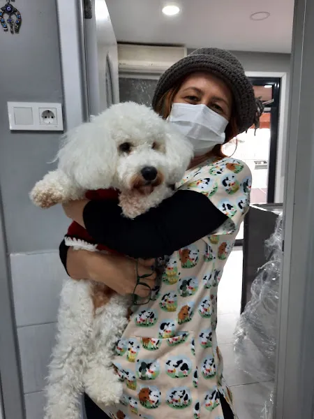 Vet Dr Veteriner Kliniği foto 2