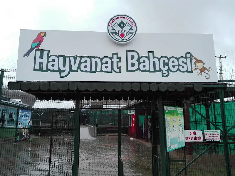 Giresun Belediyesi Hayvan Barınağı foto 2