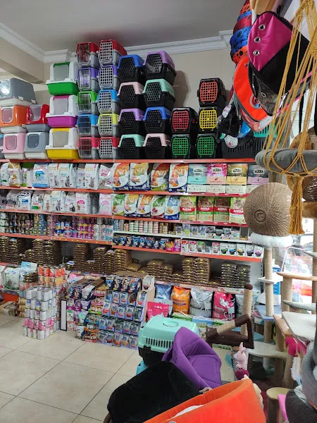 Sari Akvaryum petshop foto 2