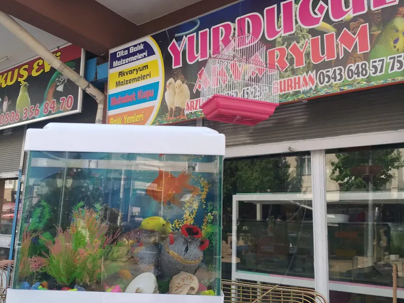 Yurdugül Akvaryum foto 2