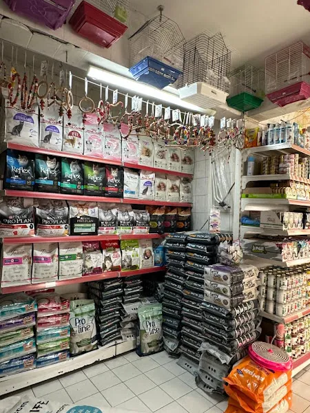 Yeşil Petshop 2 foto 2