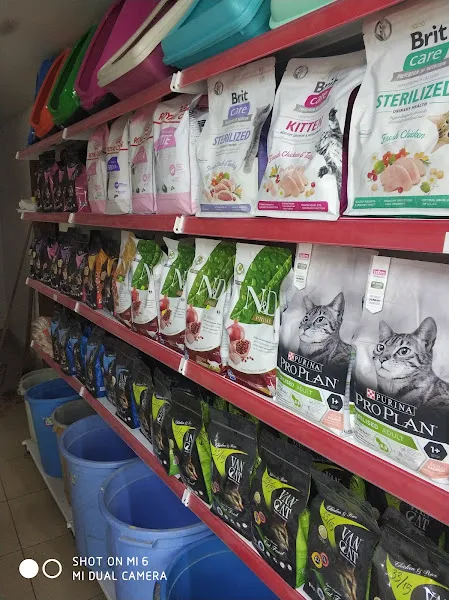 zeynep akvaryum petshop foto 2