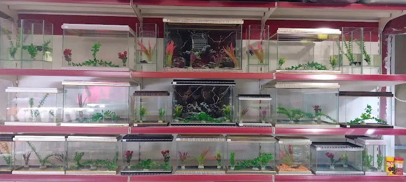 Egzitik Birlik Pet Market foto 2