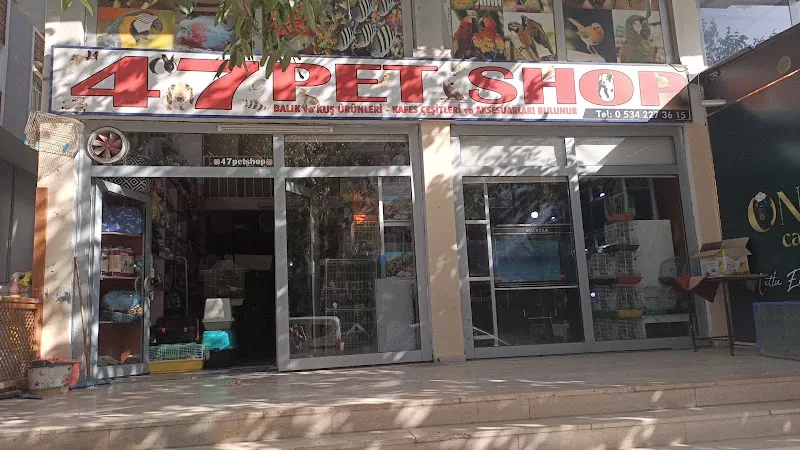 47 Pet Shop foto 1