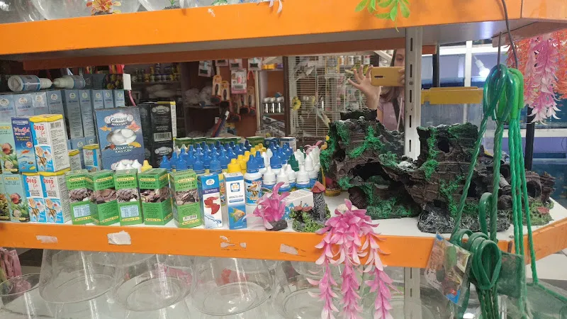 47 Pet Shop foto 2