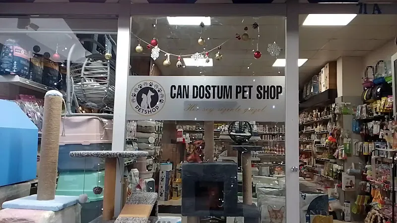 Can Dostum Pet Shop foto 2