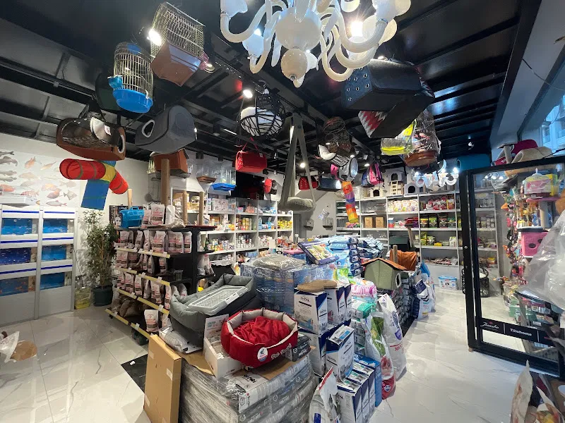 Başakşehir Pet Market foto 2