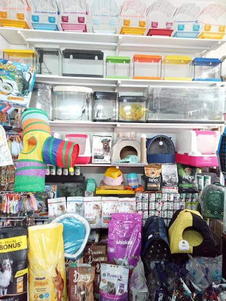 Amazon Akvaryum Burdur foto 2