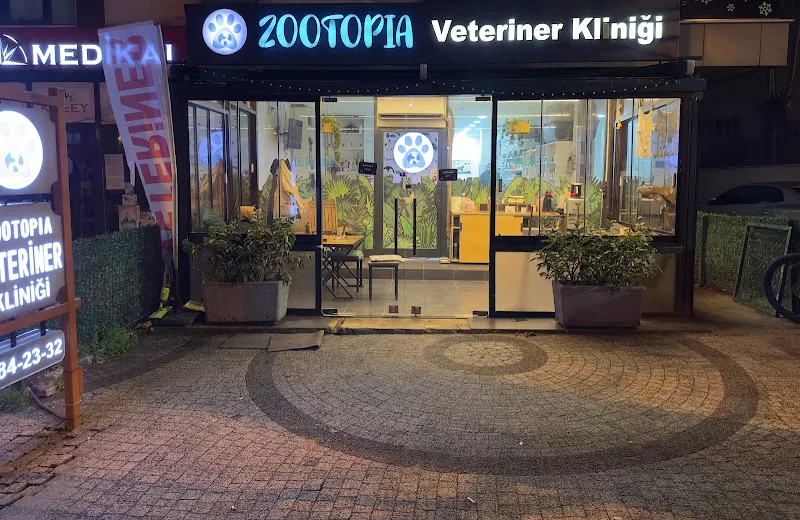 Zootopia Veteriner Kliniği foto 1