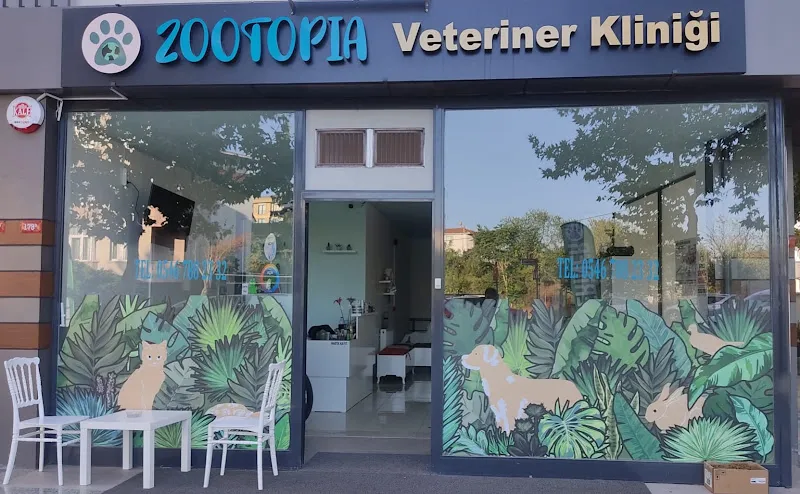 Zootopia Veteriner Kliniği foto 2