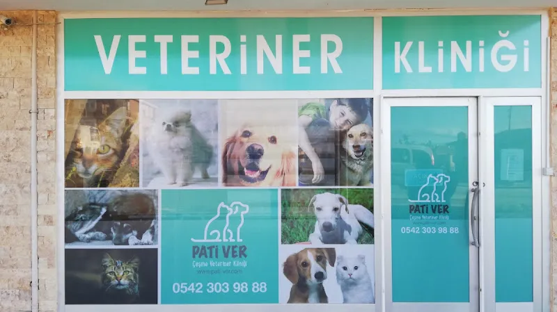 Pativer Çeşme Veteriner Kliniği foto 2