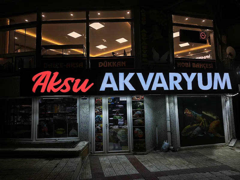 Aksu Akvaryum foto 1