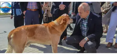 Büyükçekmece Belediyesi Veteriner İşleri Müdürlüğü fotoğrafı