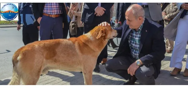 Büyükçekmece Belediyesi Veteriner İşleri Müdürlüğü foto 1