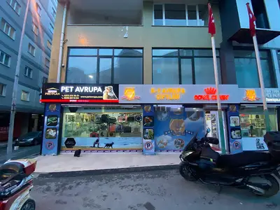 K9 Avrupa Evcil Hayvan Çiftliği