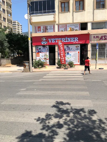 Umut Veteriner Kliniği foto 2