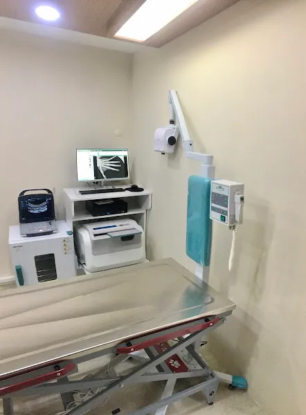 Uşak Minipati Veteriner Kliniği foto 2