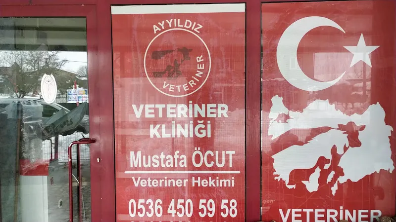 AYYILDIZ VETERİNERLİK foto 1