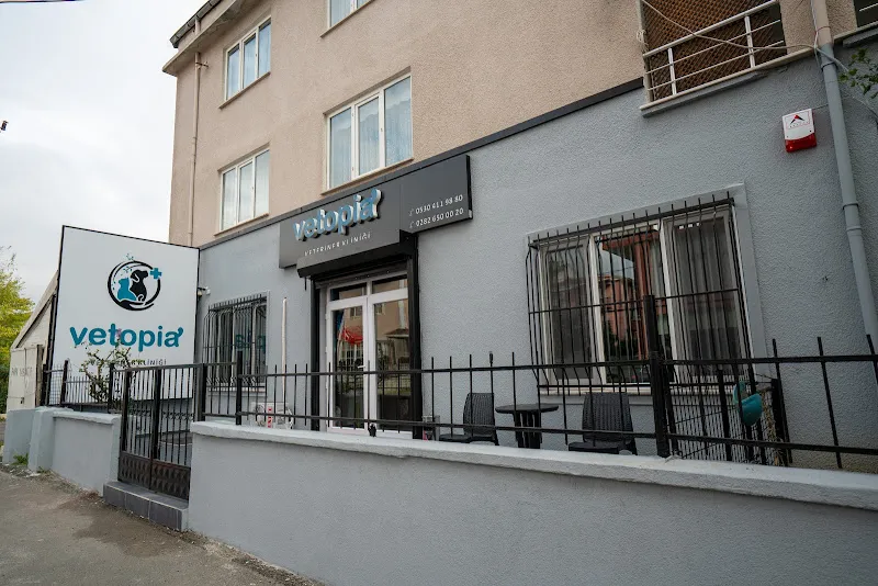 Vetopia Veteriner Kliniği Çorlu foto 1