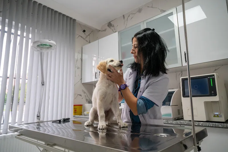 Vetopia Veteriner Kliniği Çorlu foto 2
