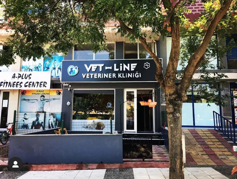 Vet-Line Veteriner Kliniği foto 1
