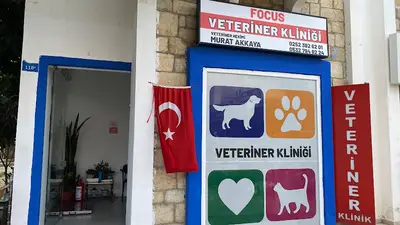 Focus Veteriner Kliniği
